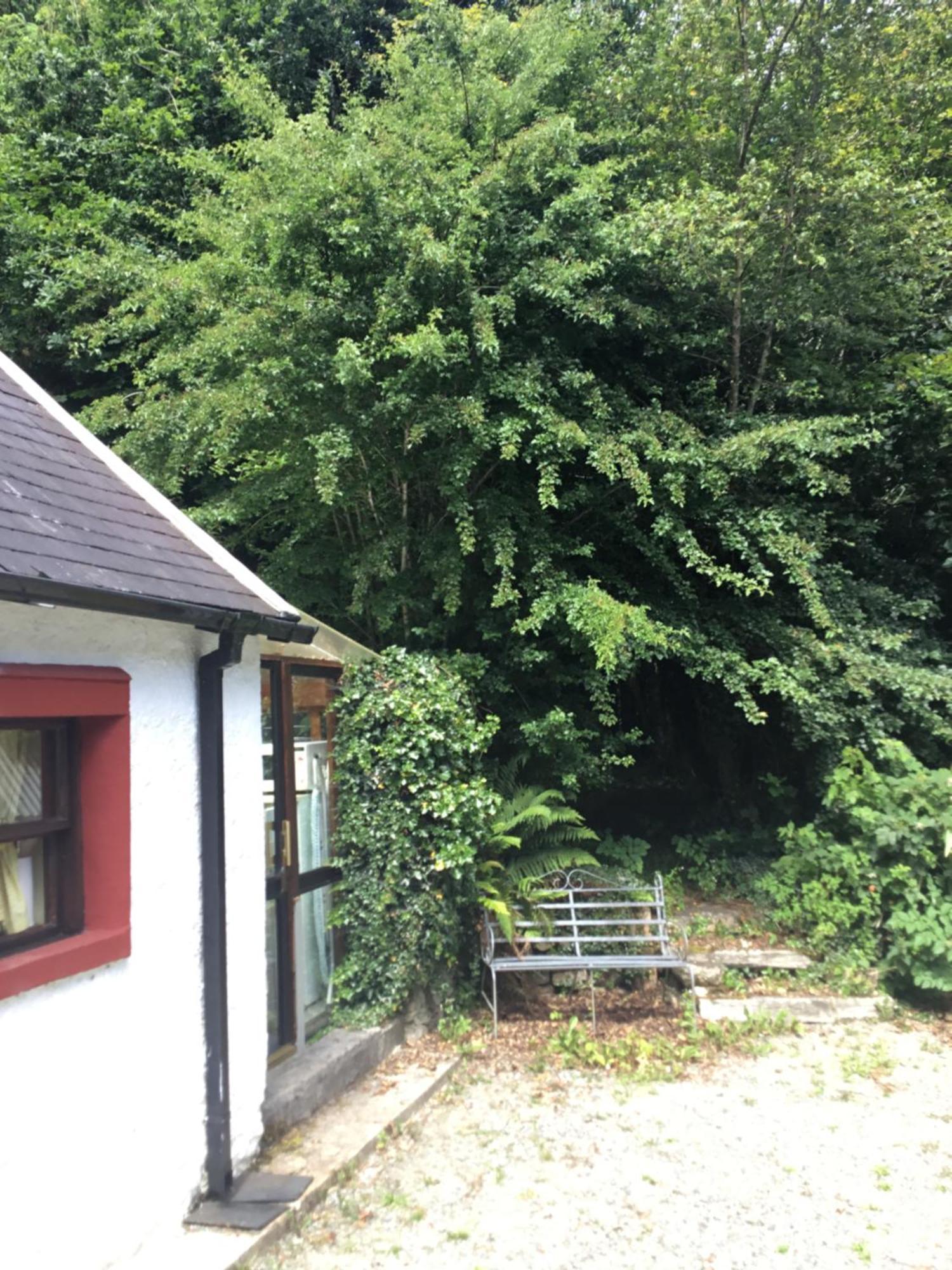 Traditional 18Th Century Converted Stables Wexford Zewnętrze zdjęcie